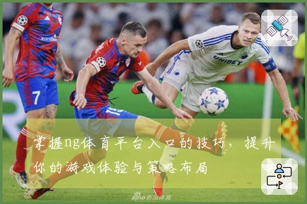 掌握ng体育平台入口的技巧，提升你的游戏体验与策略布局
