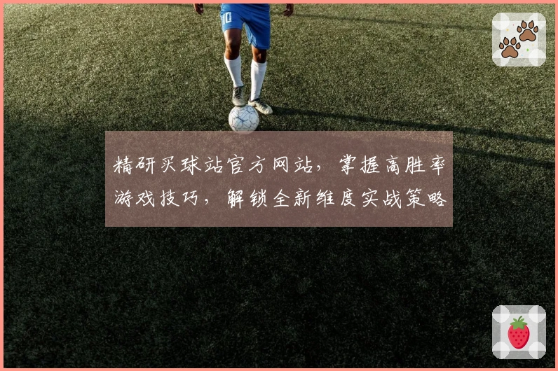 精研买球站官方网站，掌握高胜率游戏技巧，解锁全新维度实战策略