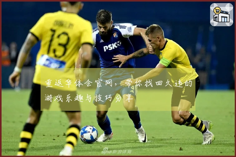 重返华体会官网，带你找回久违的游戏乐趣与技巧分享