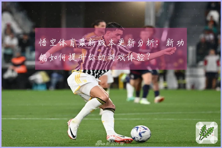 悟空体育最新版本更新分析：新功能如何提升你的游戏体验？